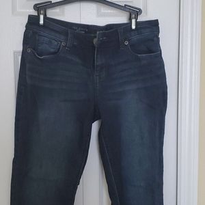 The Limited Denim Cropped